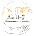 Julie Wolff – Ostéopathe animalière